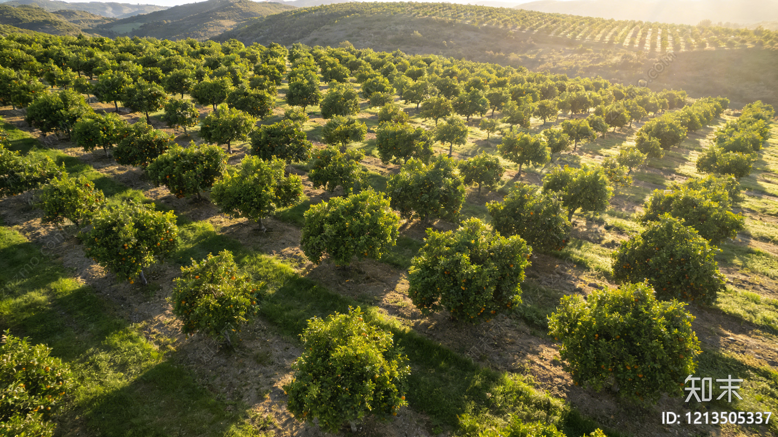 其他风景贴图下载【ID:1213505337】