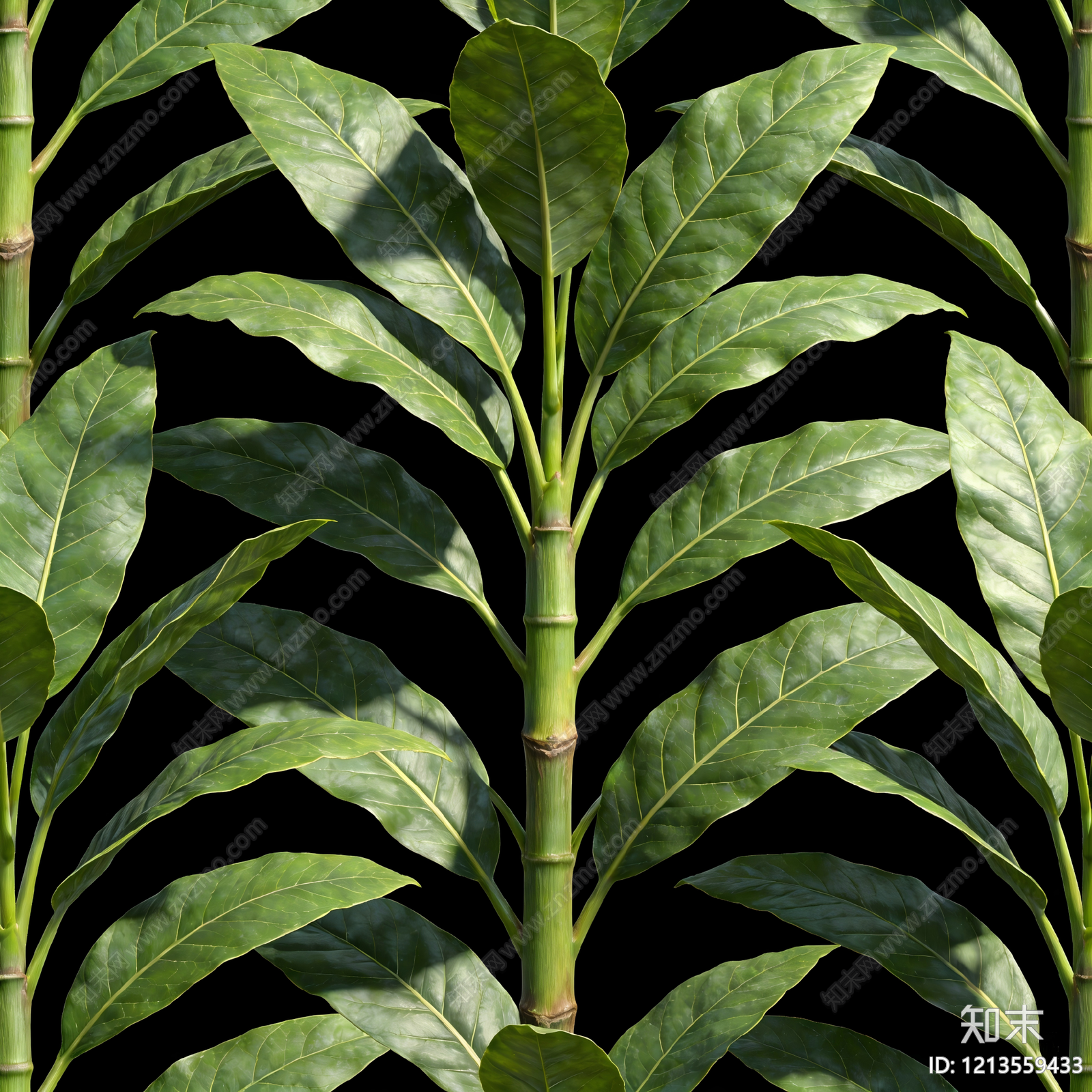 现代叶片纹理贴图下载【ID:1213559433】