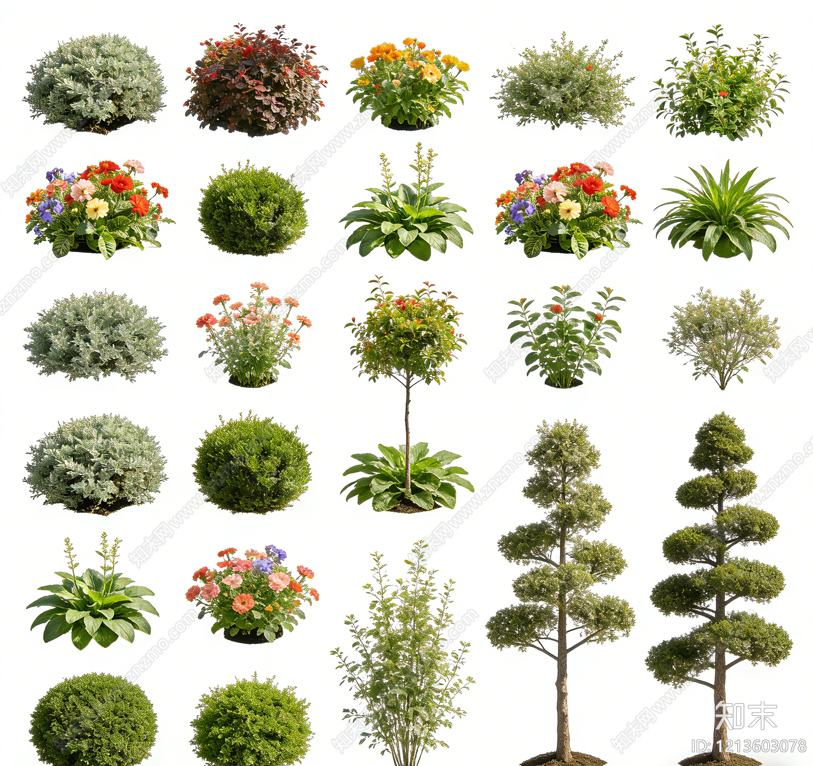 植被贴图下载【ID:1213603078】