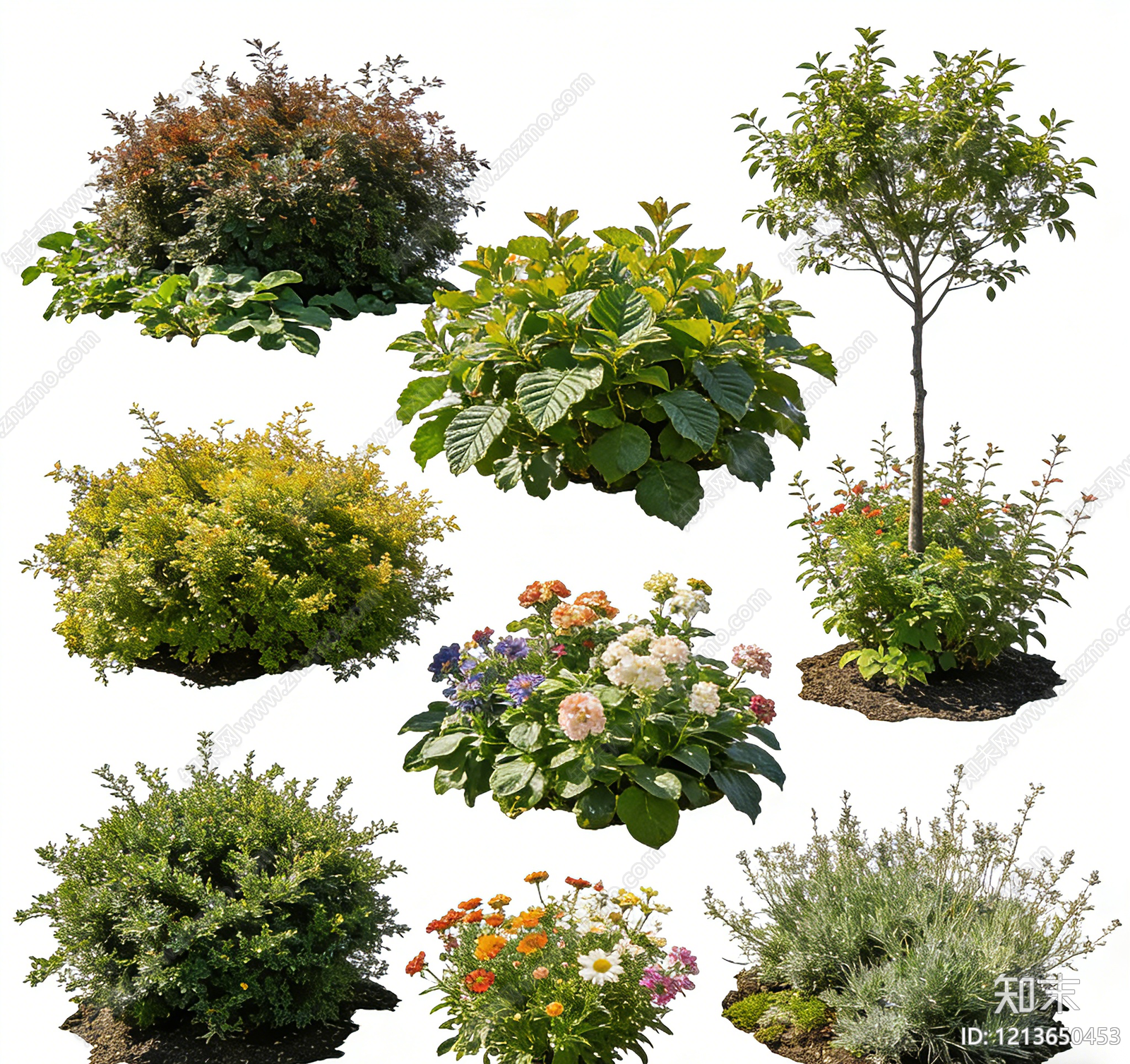 植被贴图下载【ID:1213650453】