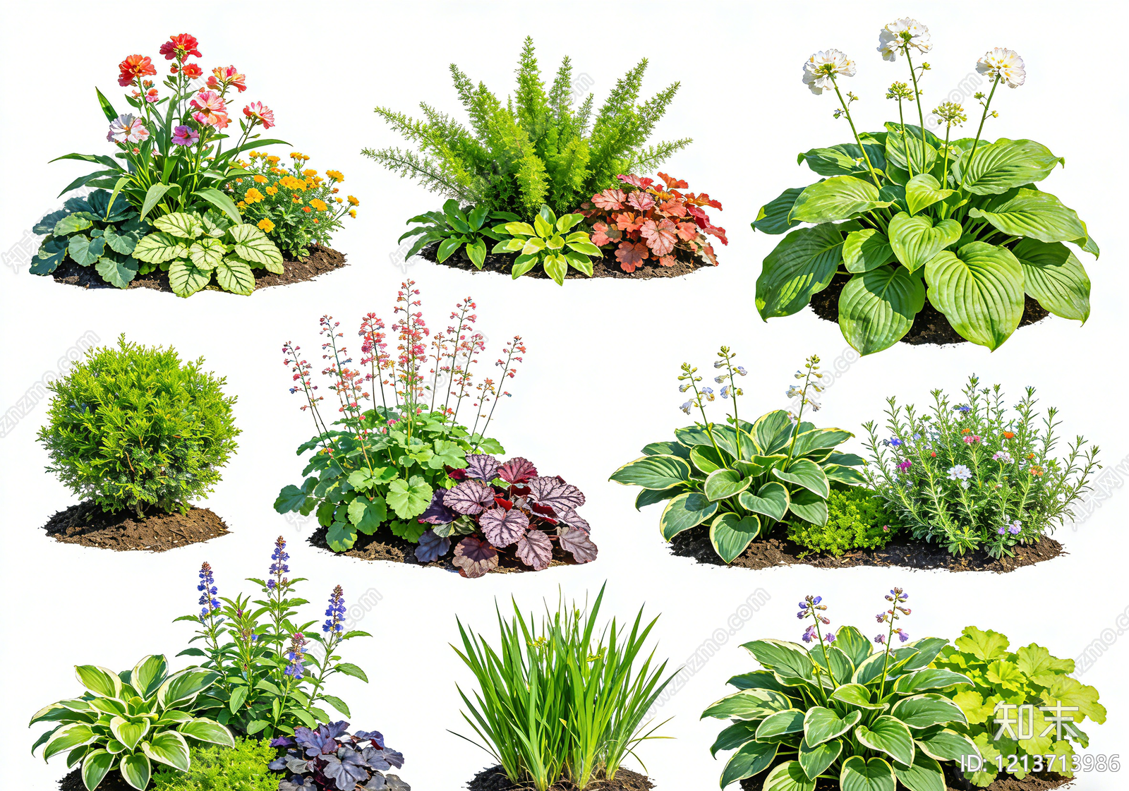 现代植被贴图下载【ID:1213713986】