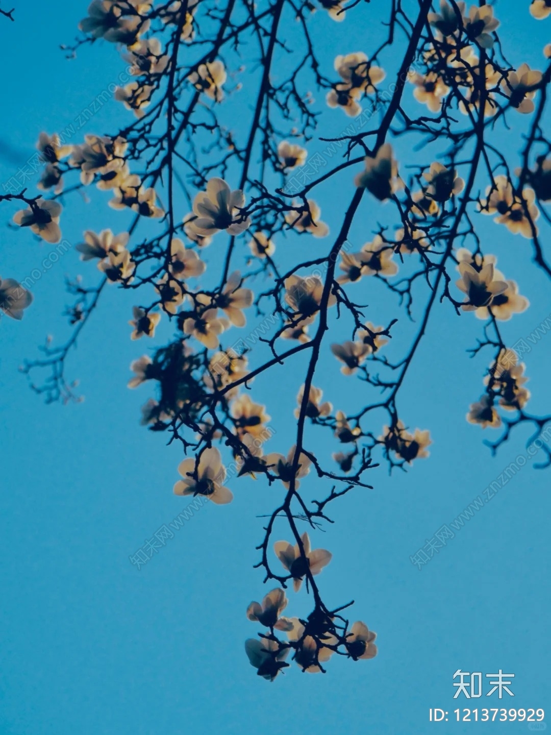 天空贴图下载【ID:1213739929】