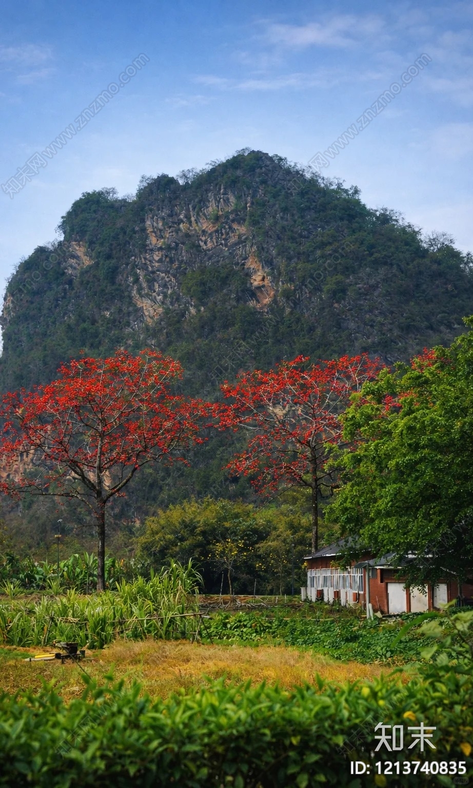 其他风景贴图下载【ID:1213740835】