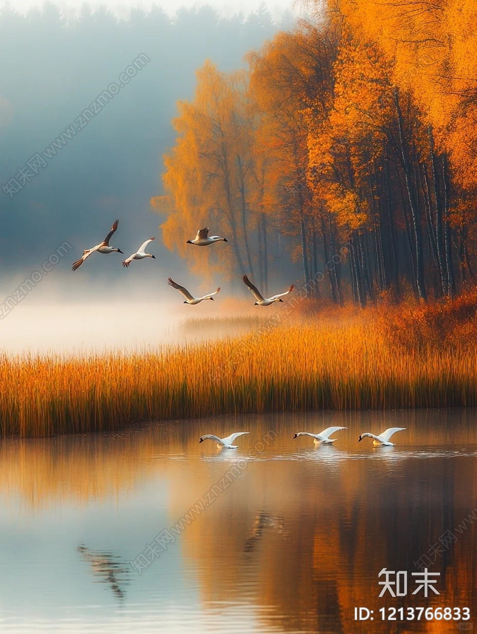 其他水面贴图下载【ID:1213766833】