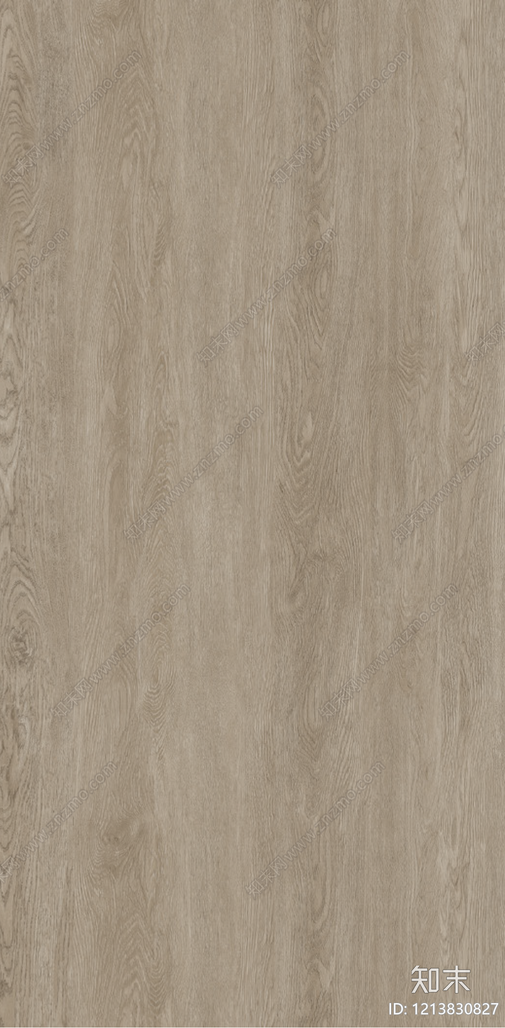 橡木贴图下载【ID:1213830827】