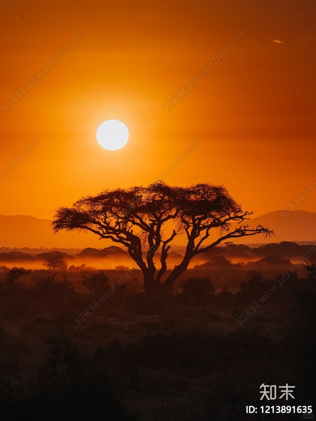 天空下载【ID:1213891635】