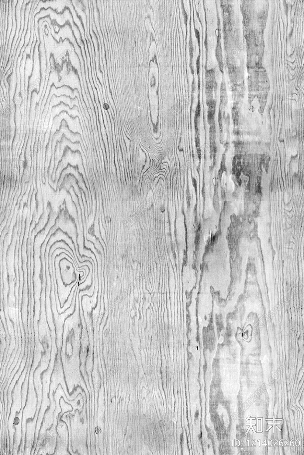 现代松木贴图下载【ID:1214026260】