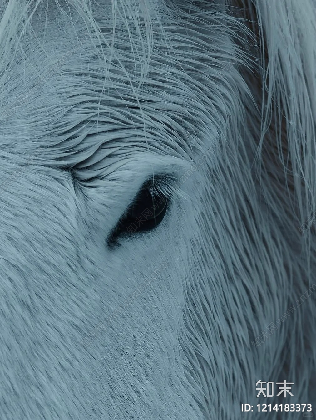 其他挂画贴图下载【ID:1214183373】