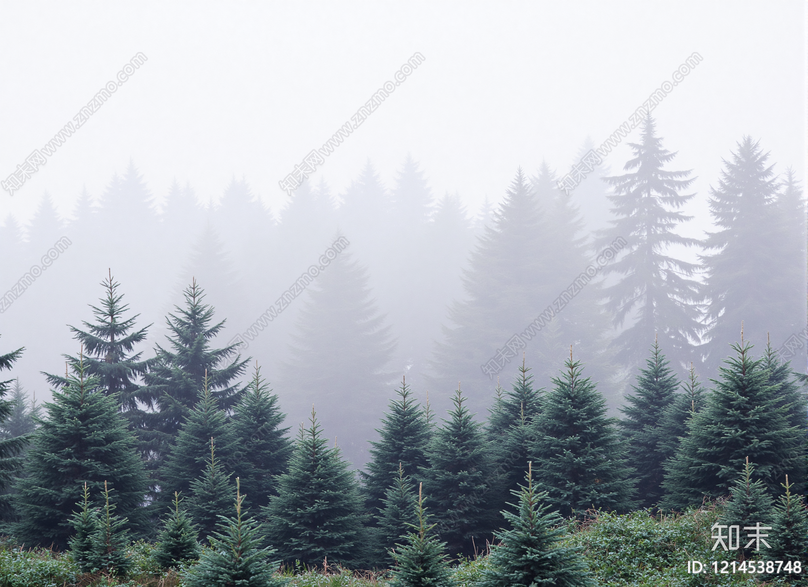 现代森林贴图下载【ID:1214538748】