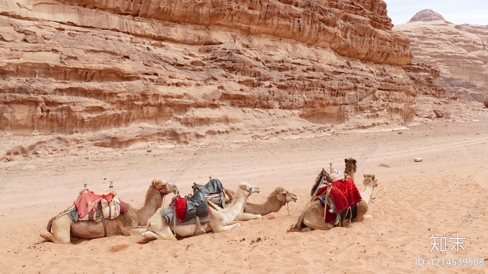 现代其他风景贴图下载【ID:1214539508】