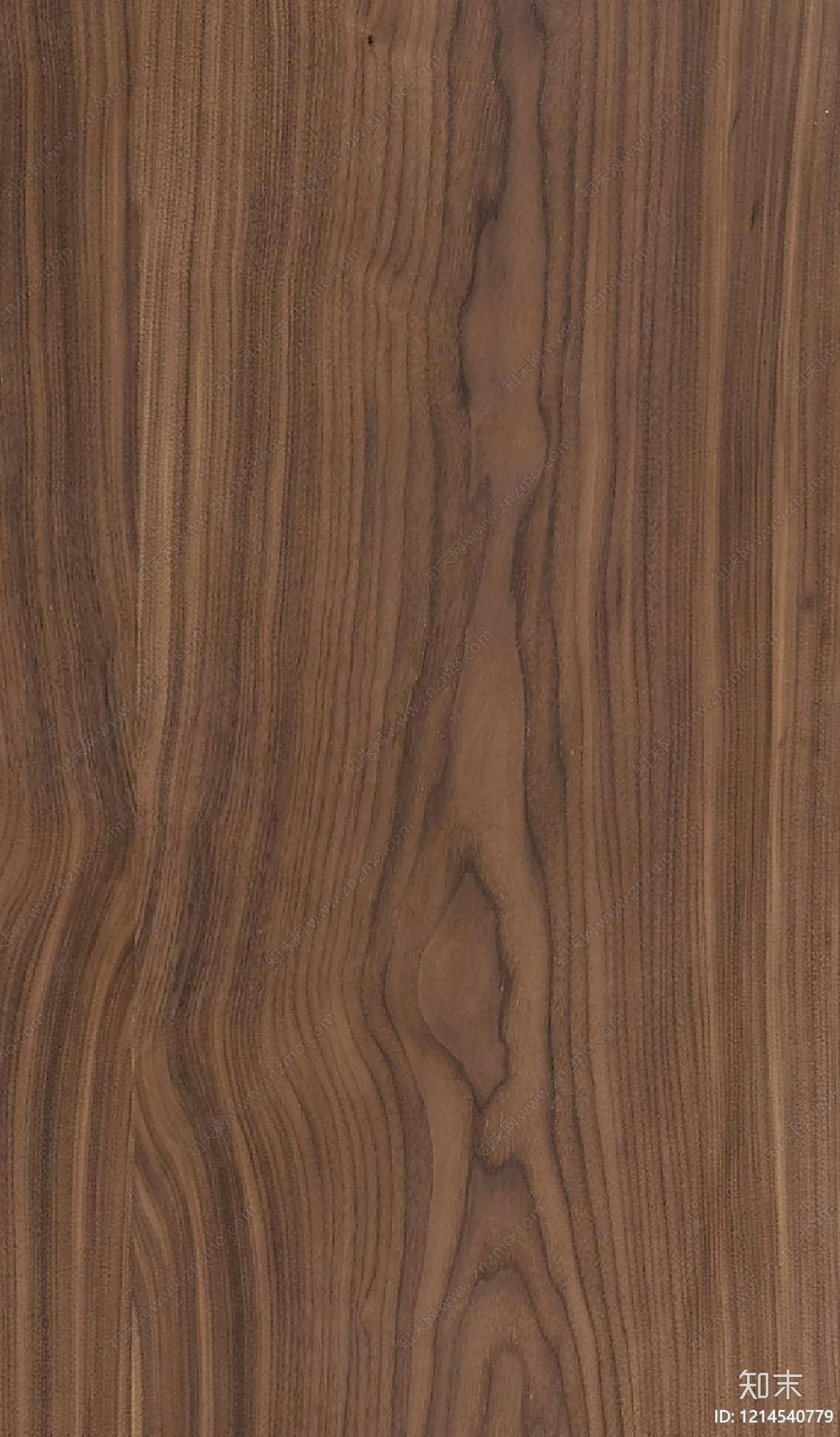 现代胡桃木贴图下载【ID:1214540779】