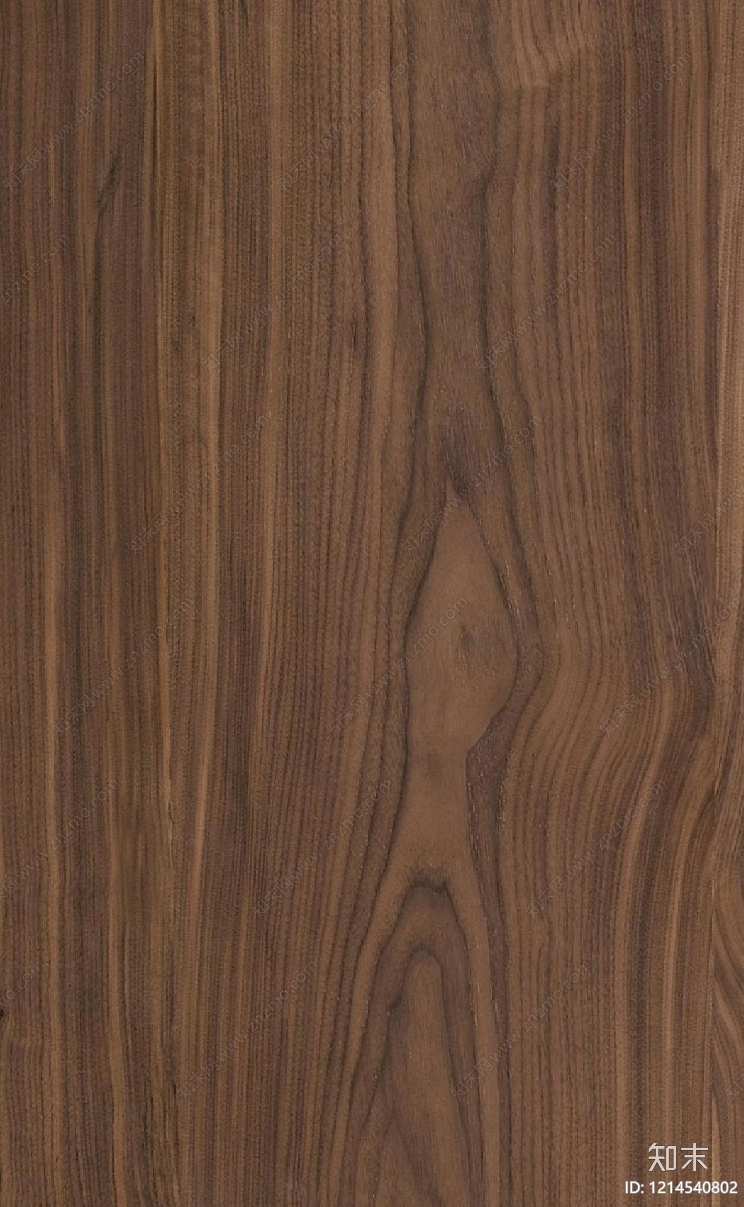 现代胡桃木贴图下载【ID:1214540802】