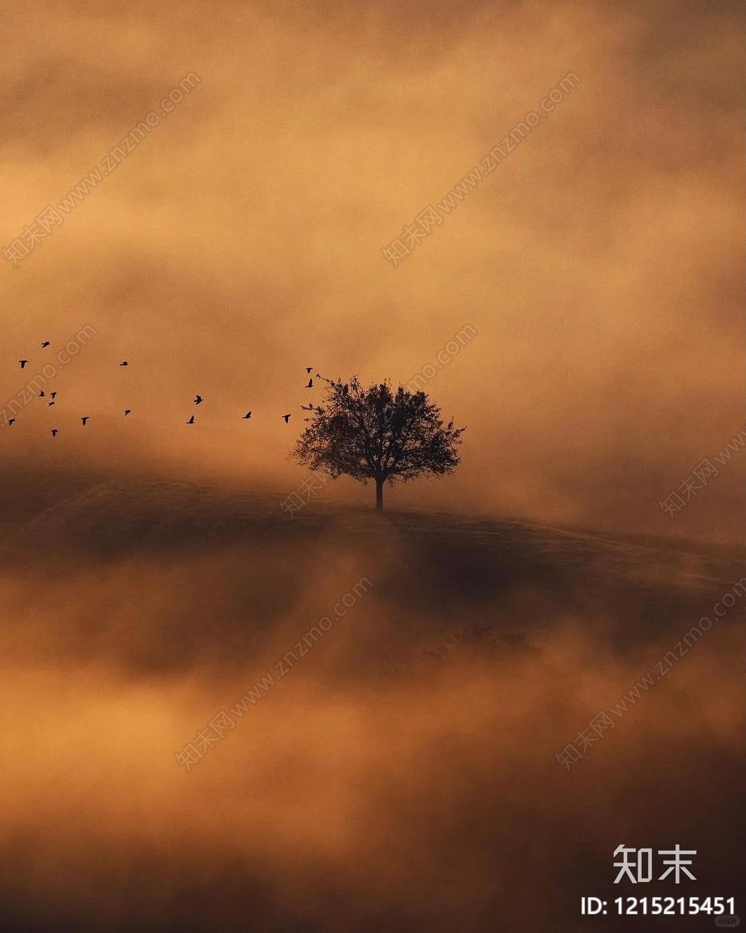 其他屏幕贴图下载【ID:1215215451】