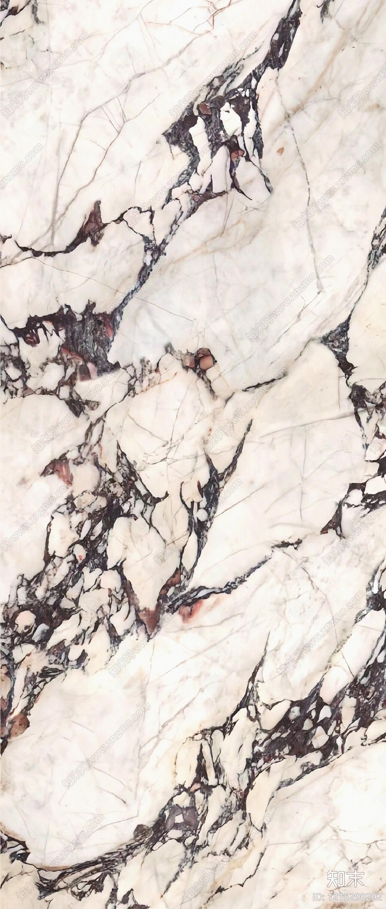 现代宝格丽大理石贴图下载【ID:1215290292】