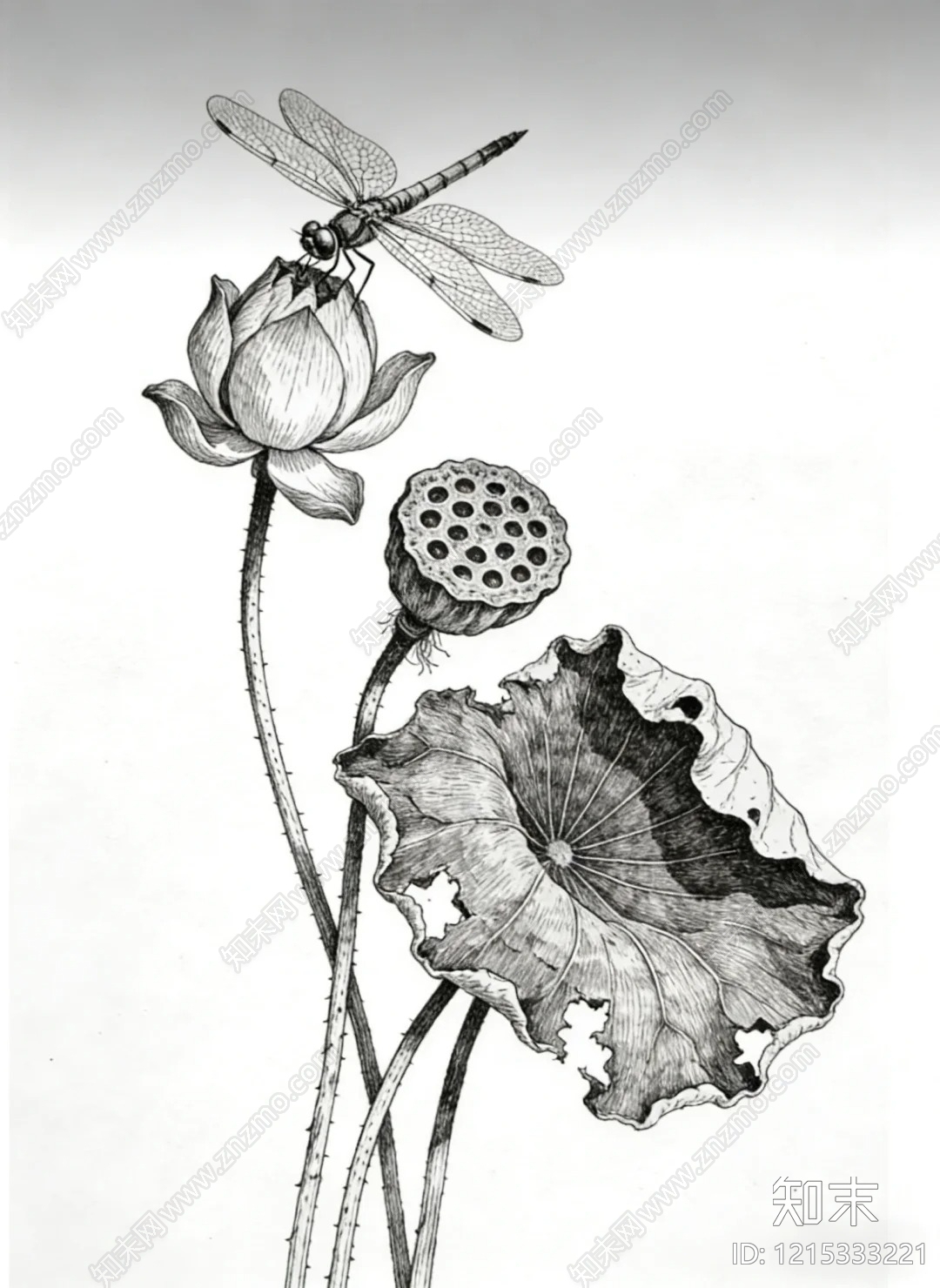 干枯植物纹理贴图下载【ID:1215333221】