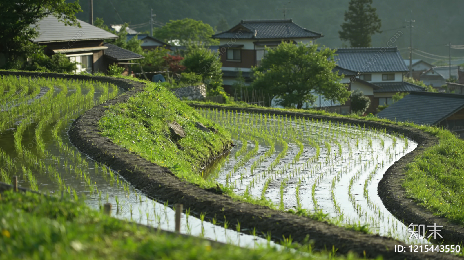 现代农田贴图下载【ID:1215443550】