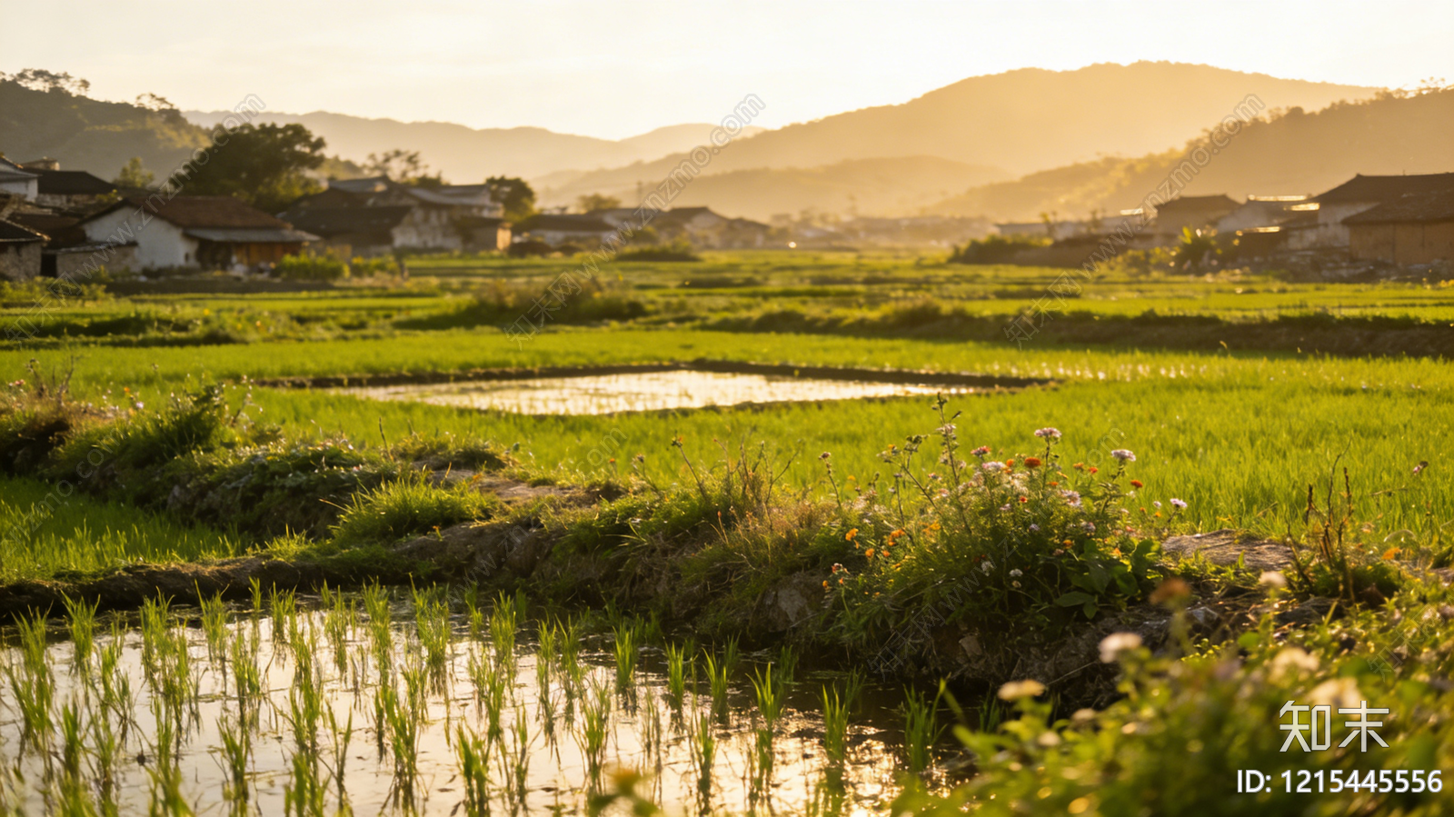 现代农田贴图下载【ID:1215445556】