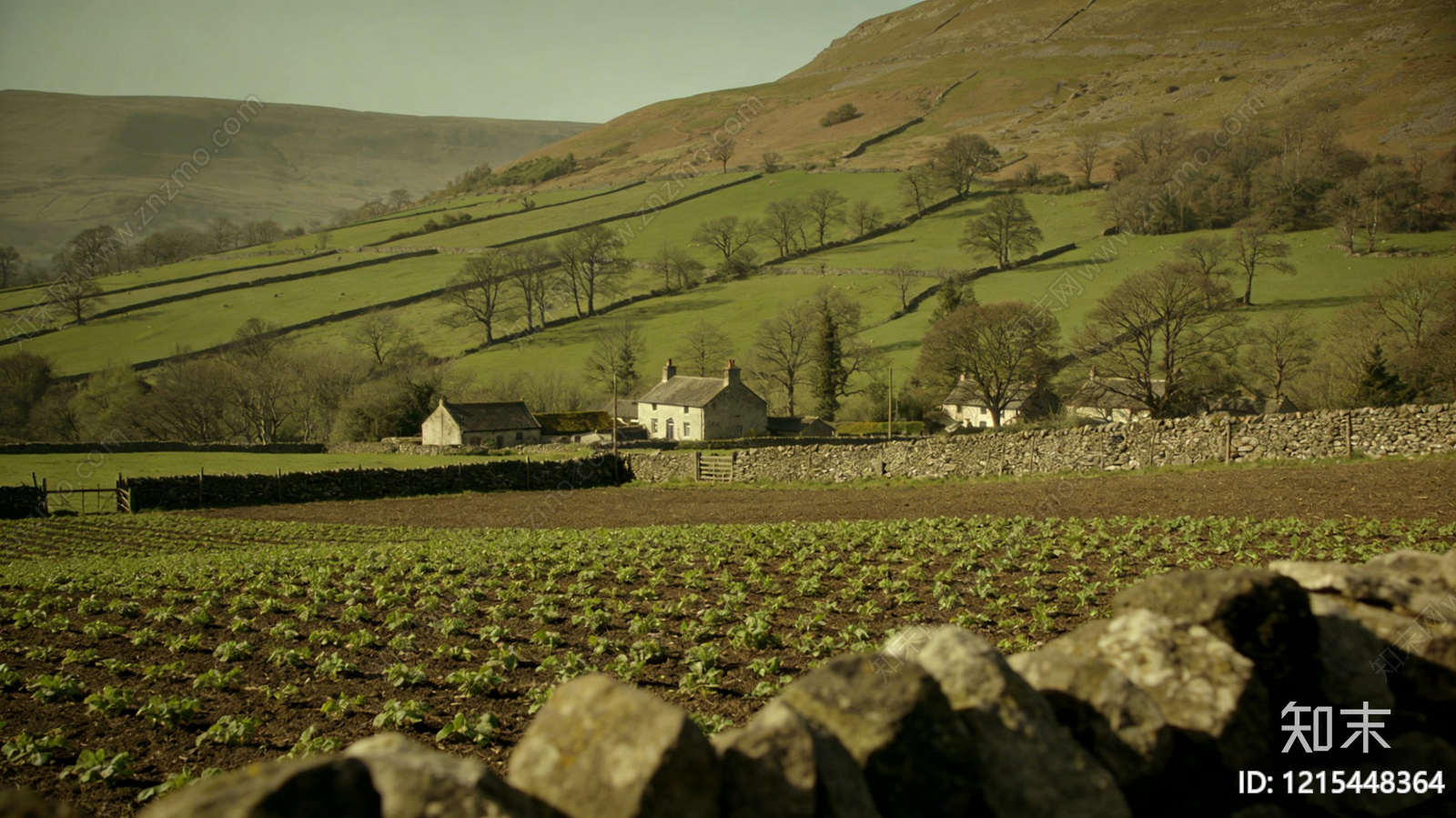 现代农田贴图下载【ID:1215448364】