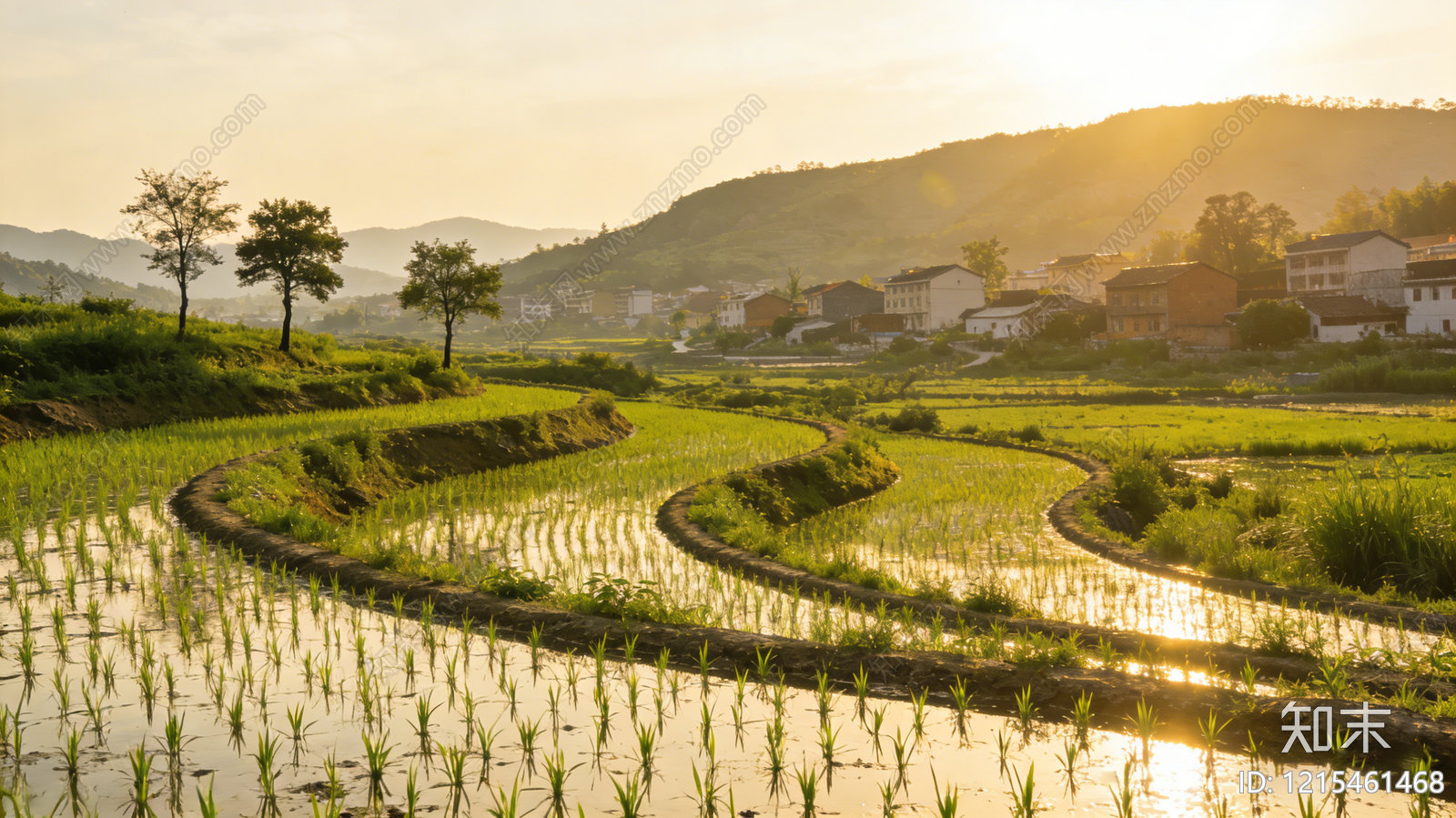 现代农田贴图下载【ID:1215461468】