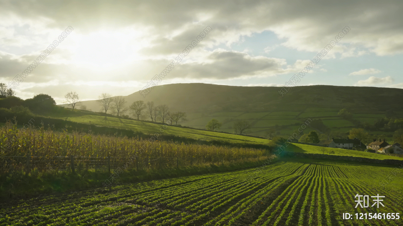 现代农田贴图下载【ID:1215461655】