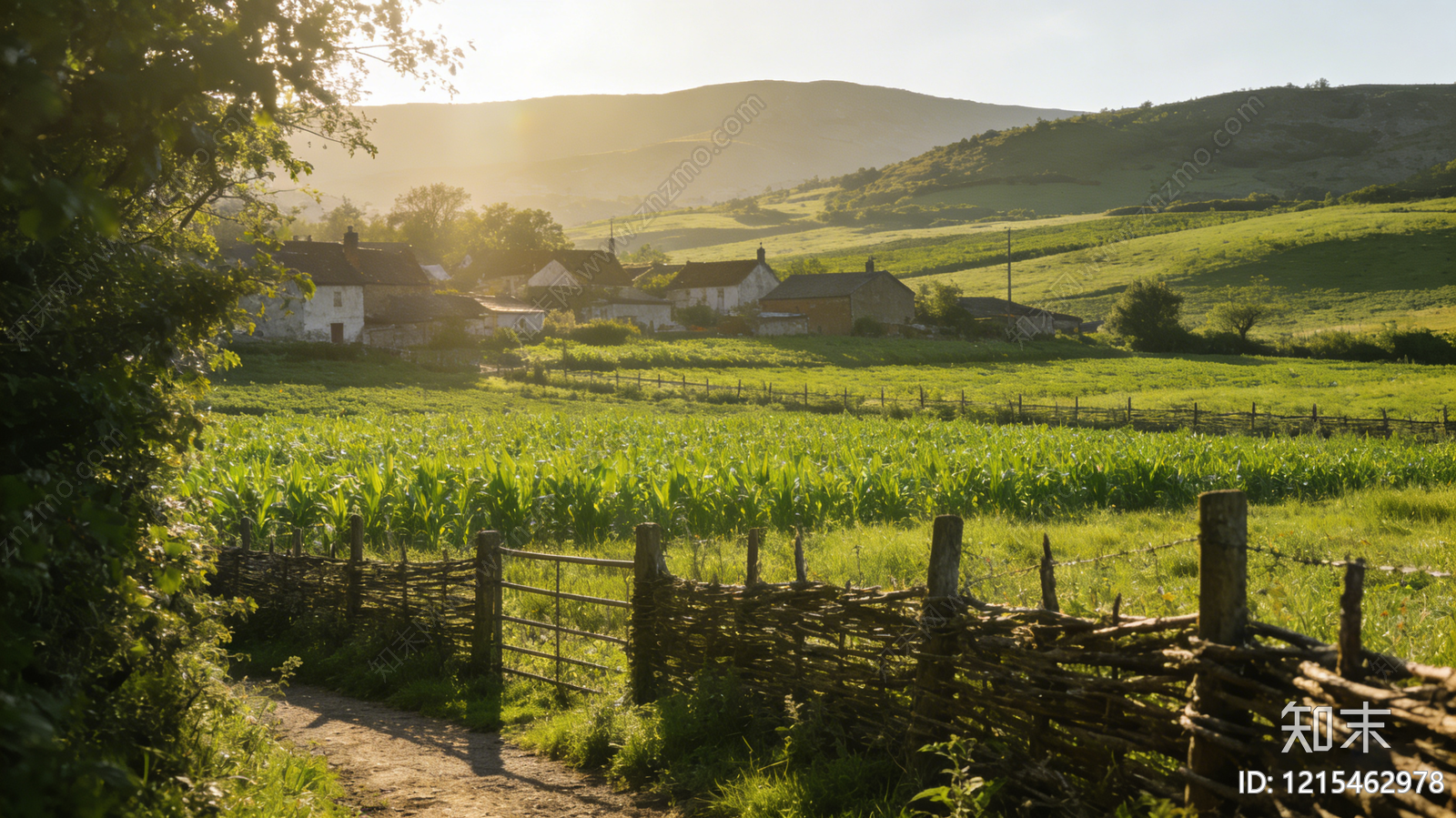 现代农田贴图下载【ID:1215462978】