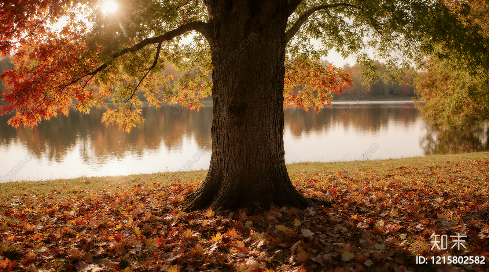 现代其他风景贴图下载【ID:1215802582】