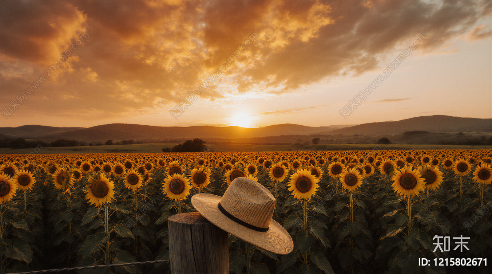 现代农田贴图下载【ID:1215802671】