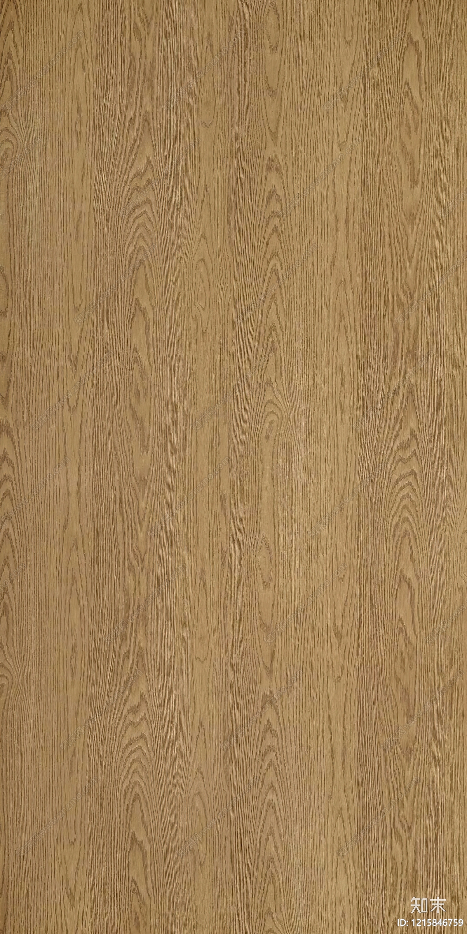 现代橡木木纹贴图下载【ID:1215846759】