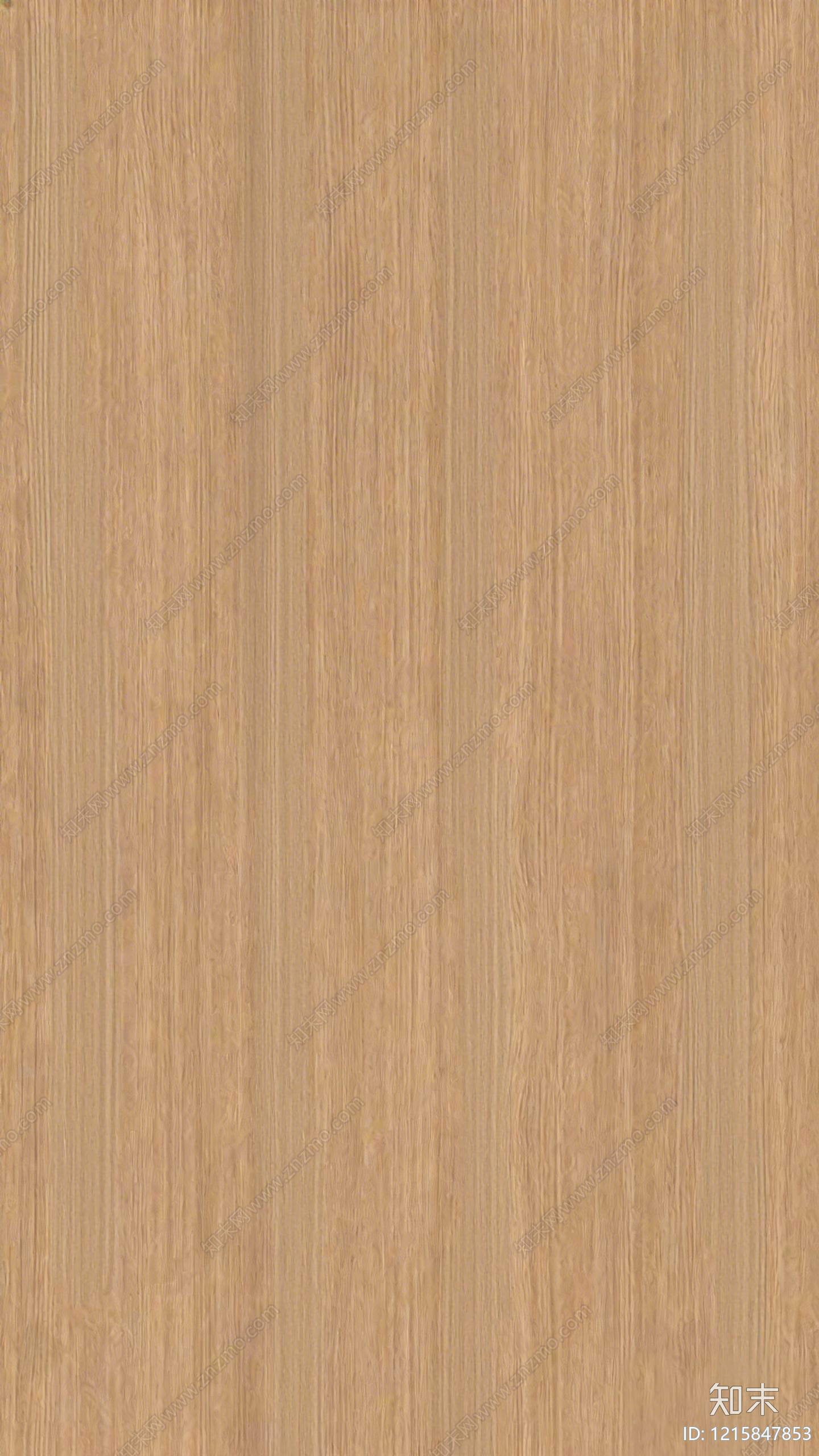 原木浅色木纹贴图下载【ID:1215847853】