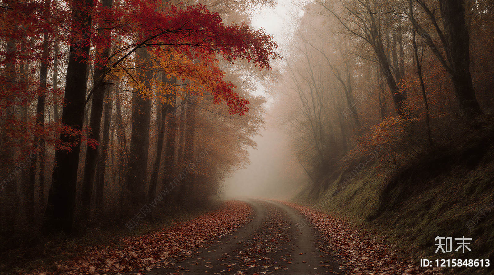 现代森林贴图下载【ID:1215848613】