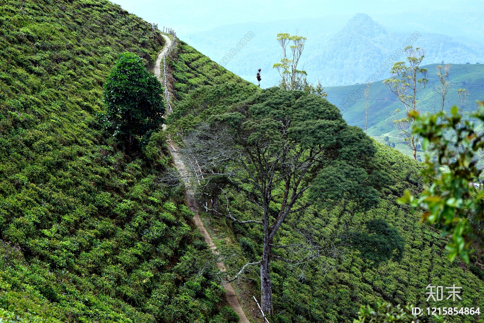 其他风景贴图下载【ID:1215854864】