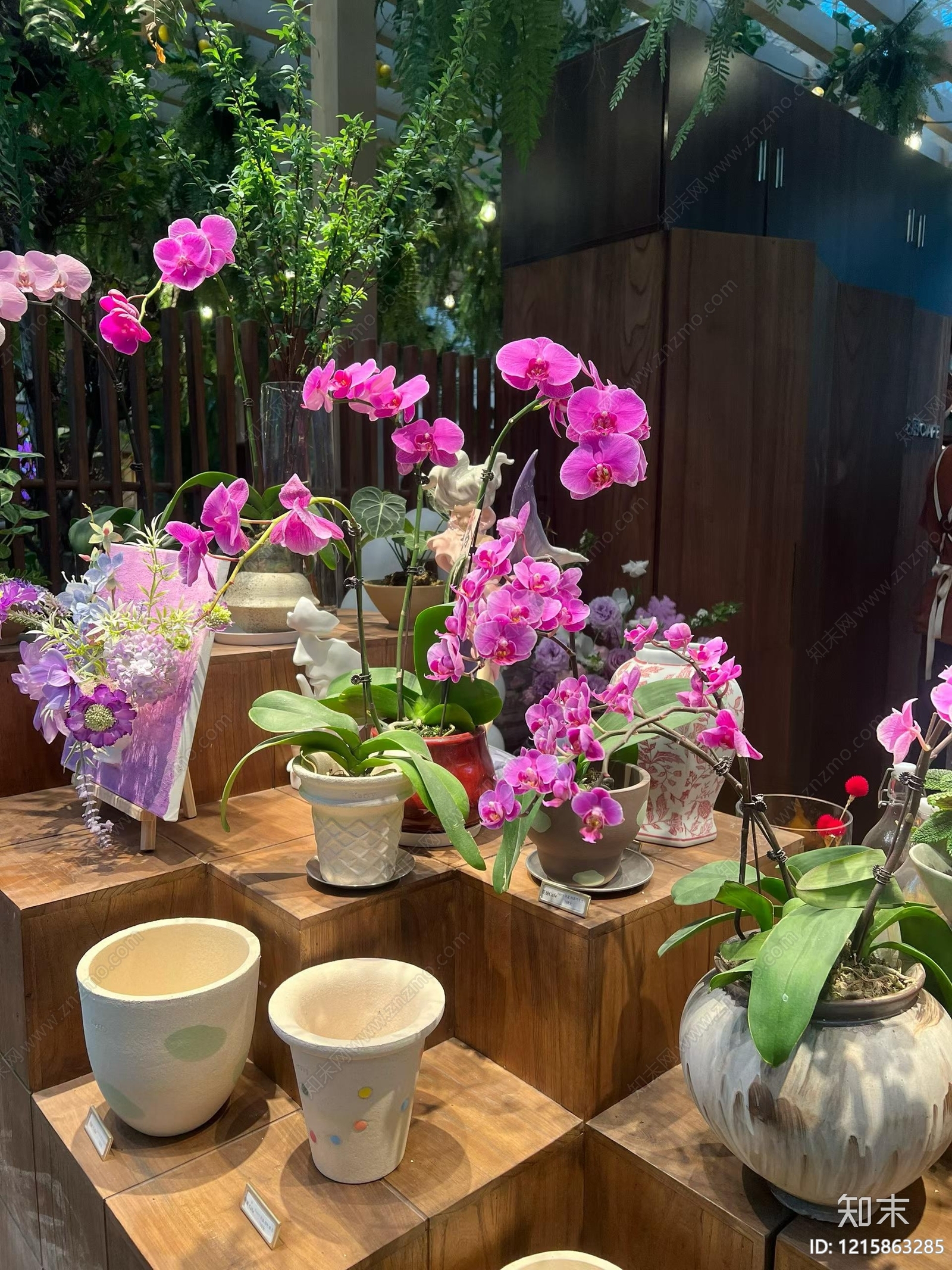 植被贴图下载【ID:1215863285】