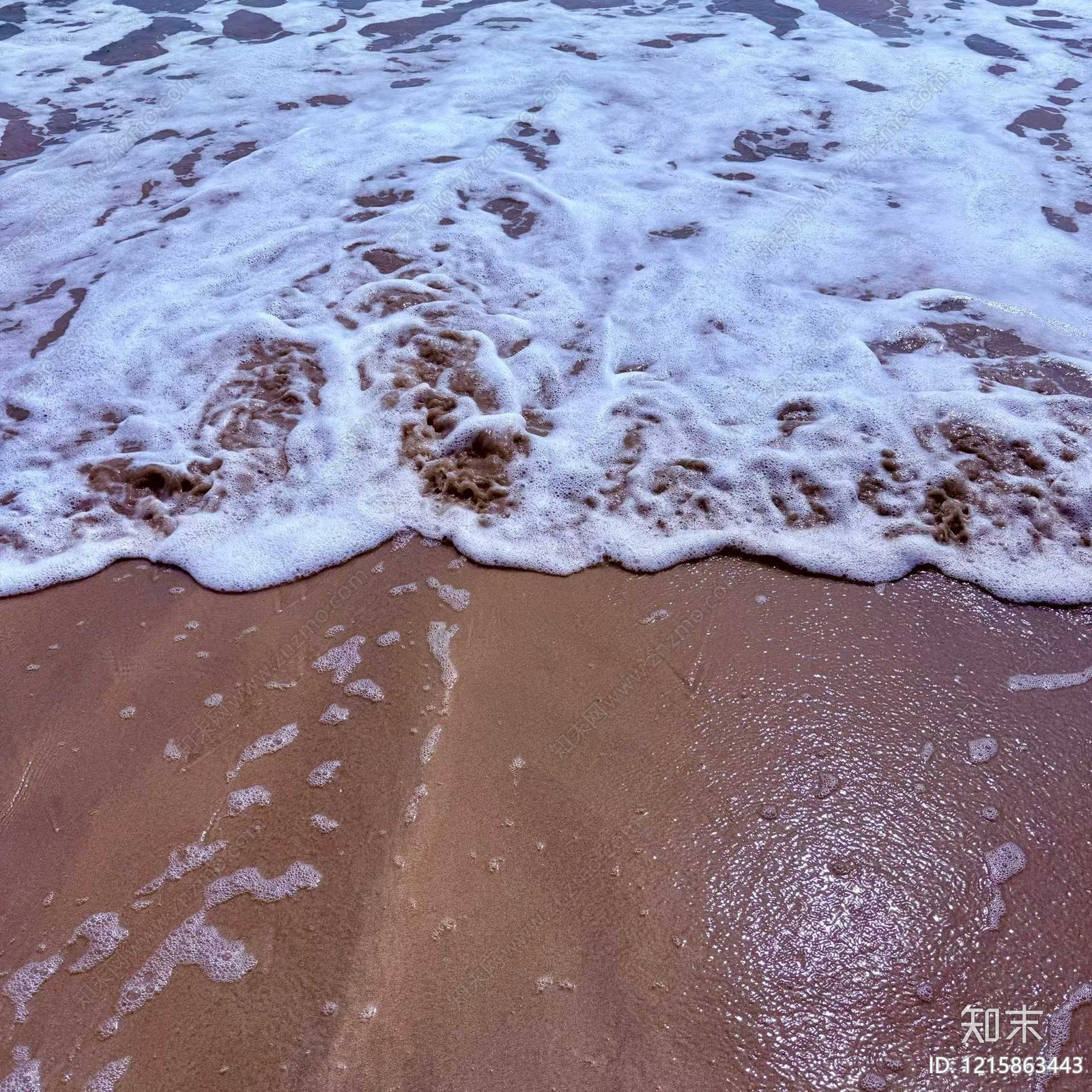 沙土表面贴图下载【ID:1215863443】