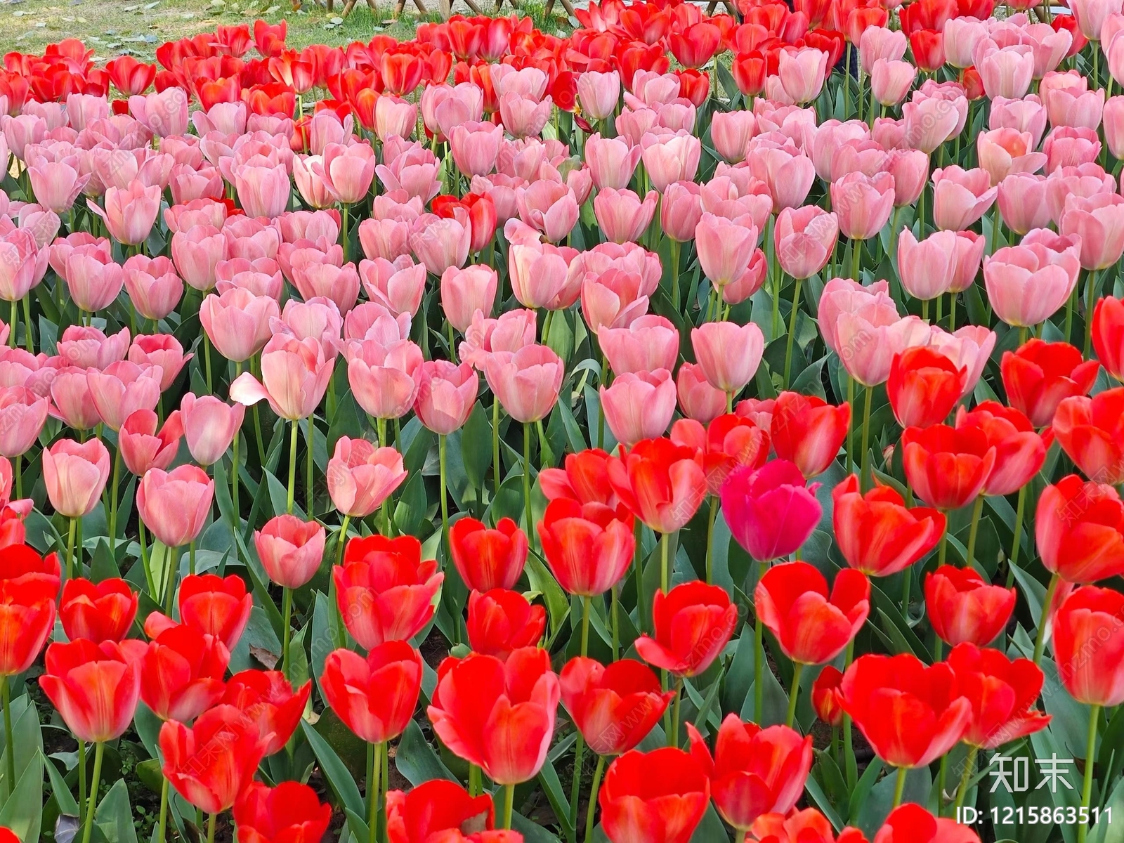 现代其他风景贴图下载【ID:1215863511】