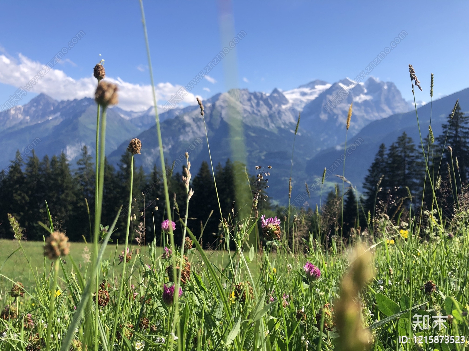 雪山贴图下载【ID:1215873523】