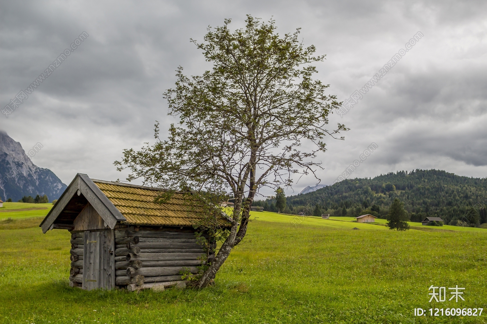 农田贴图下载【ID:1216096827】