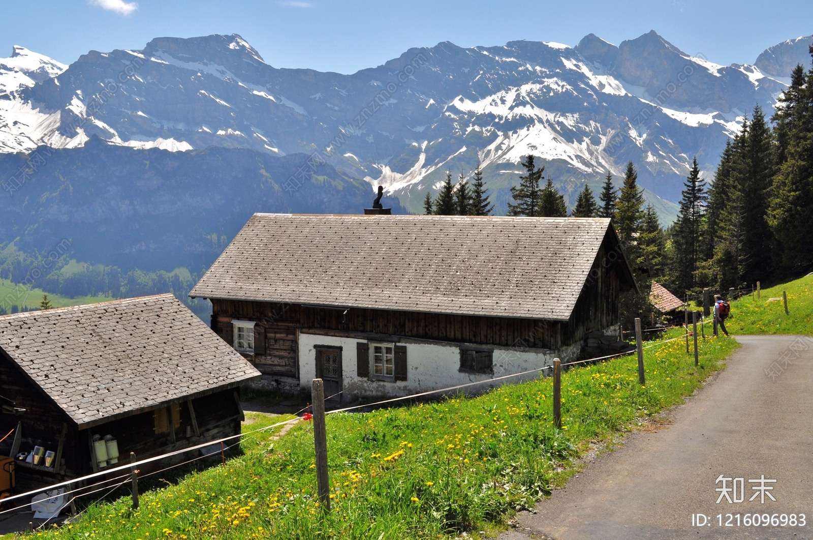 雪山贴图下载【ID:1216096983】