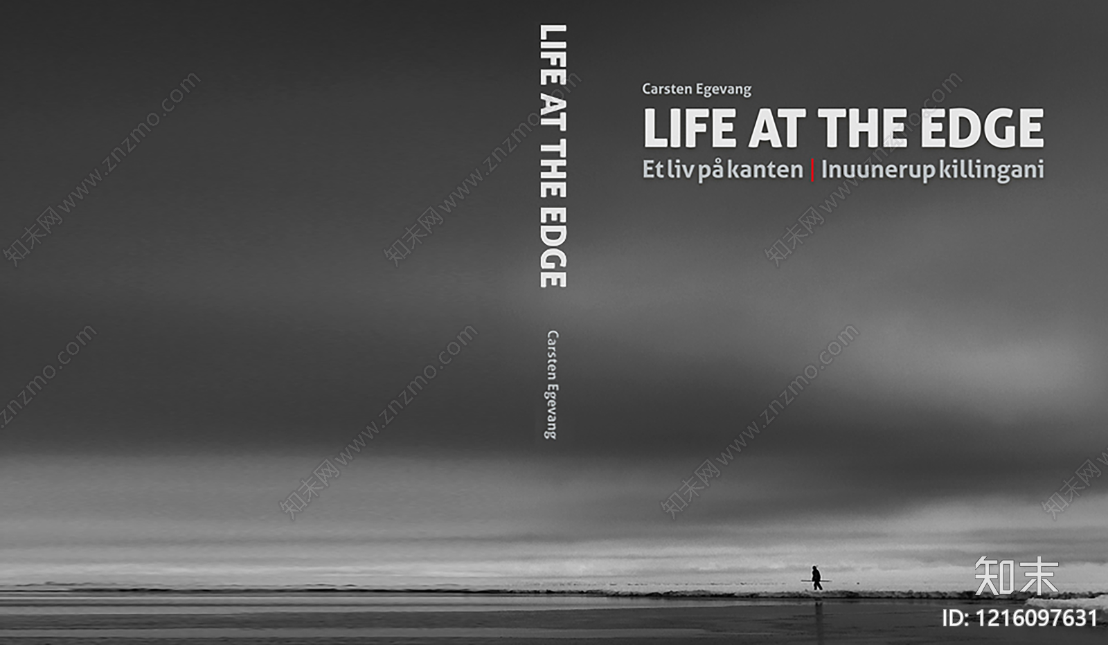 海报贴图下载【ID:1216097631】