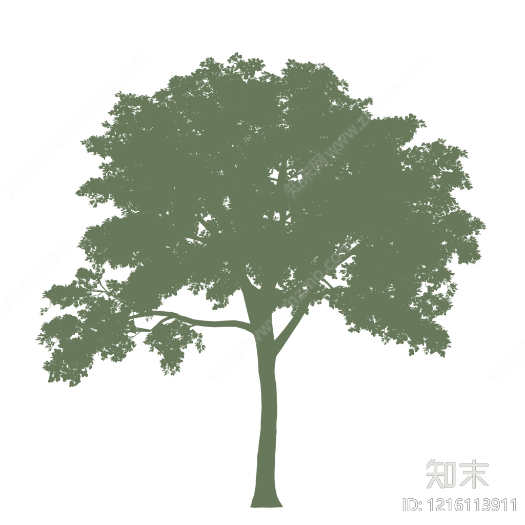 简约树木贴图下载【ID:1216113911】