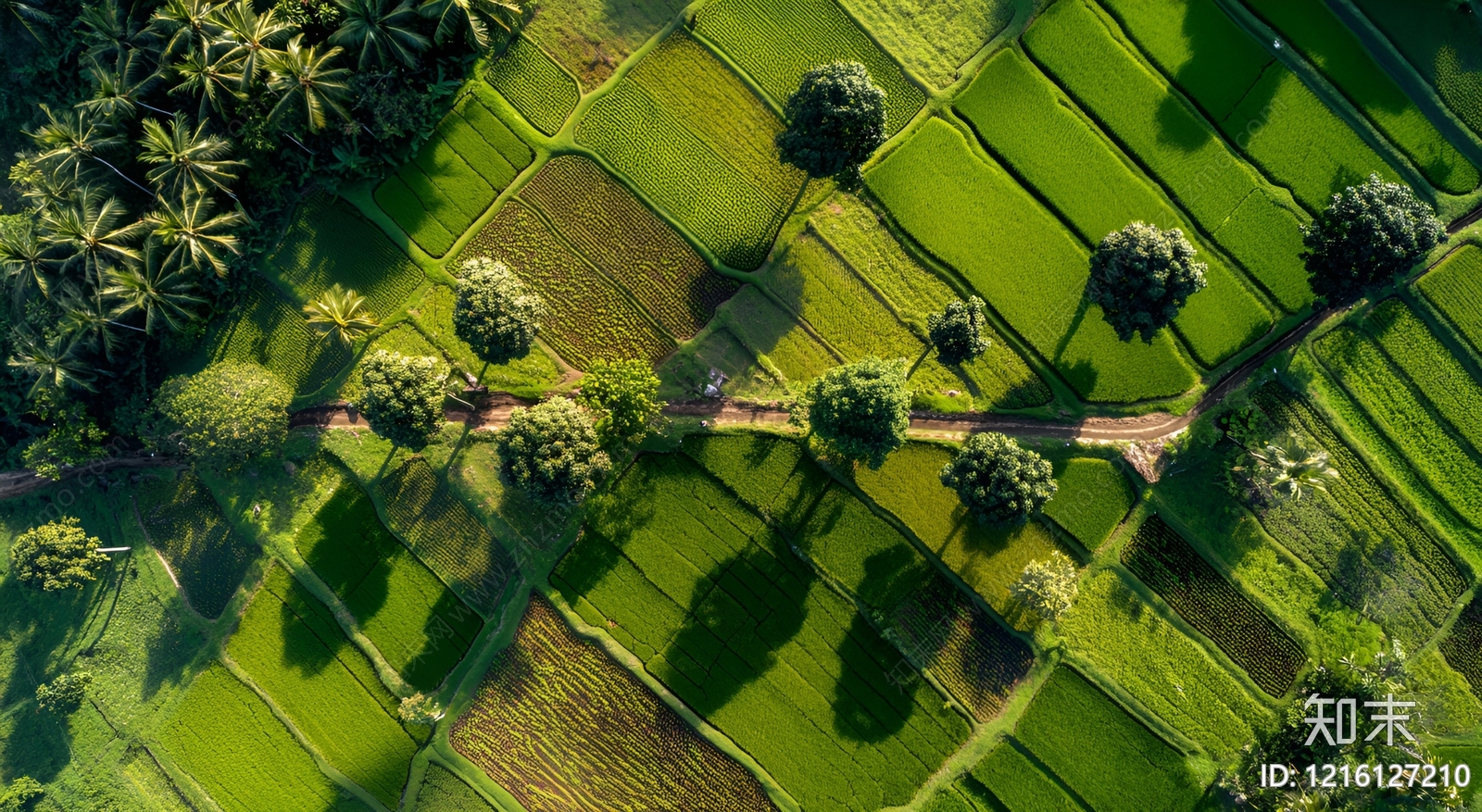 现代农田贴图下载【ID:1216127210】