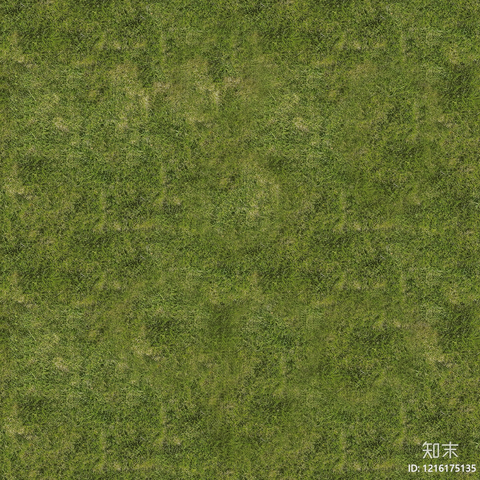 现代草地贴图下载【ID:1216175135】
