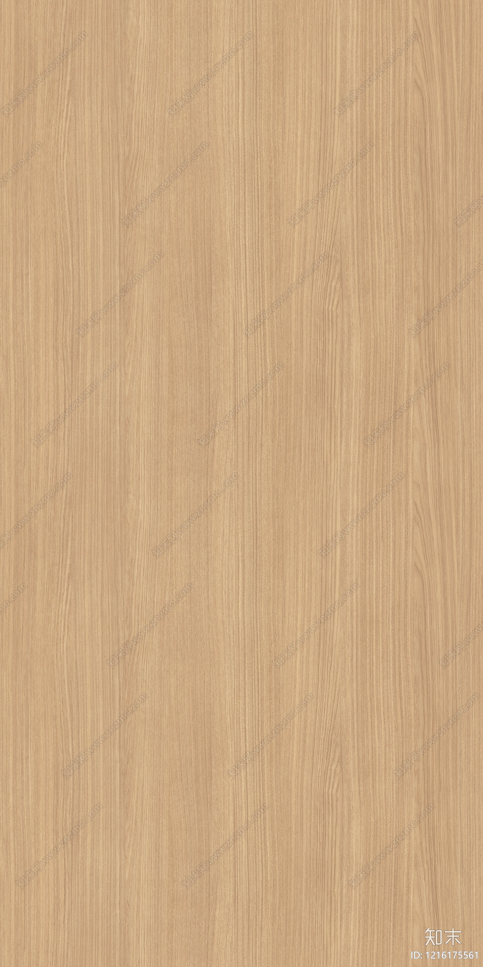 原木浅色木纹贴图下载【ID:1216175561】