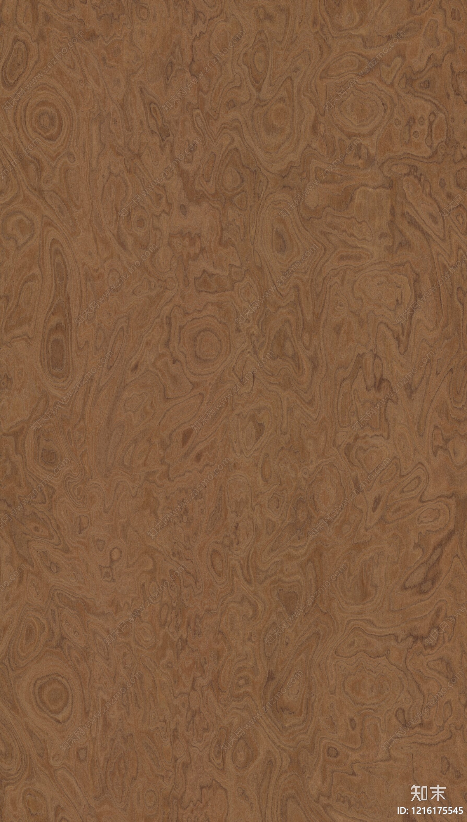 中古树瘤贴图下载【ID:1216175545】