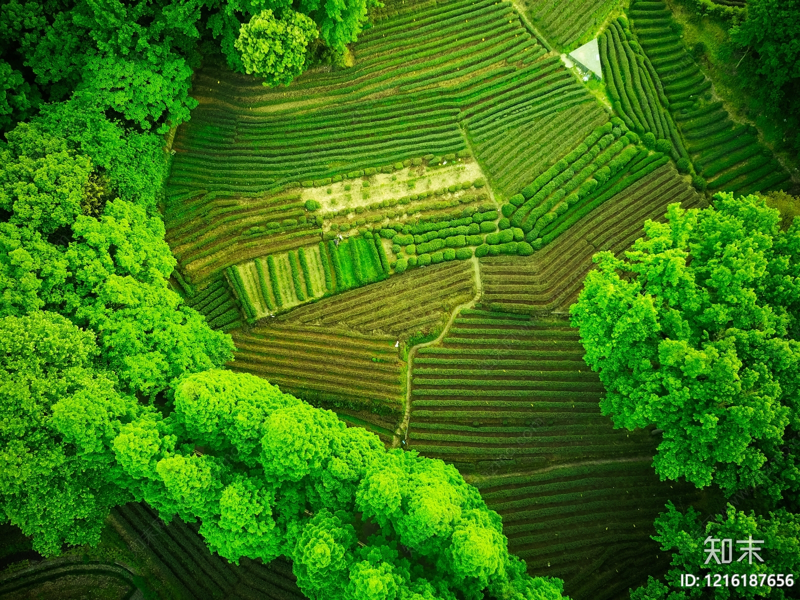 现代农田贴图下载【ID:1216187656】