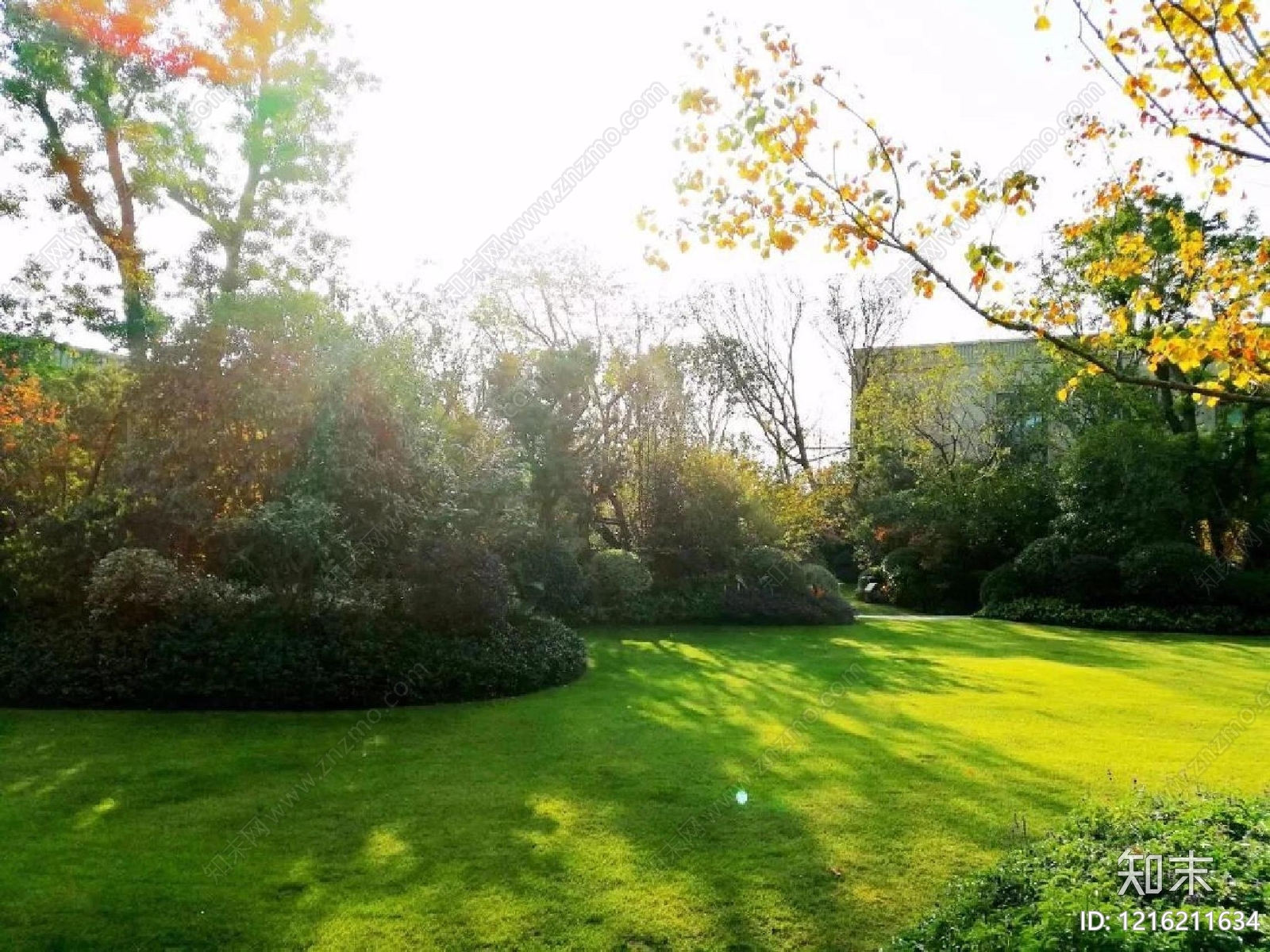 草地贴图下载【ID:1216211634】