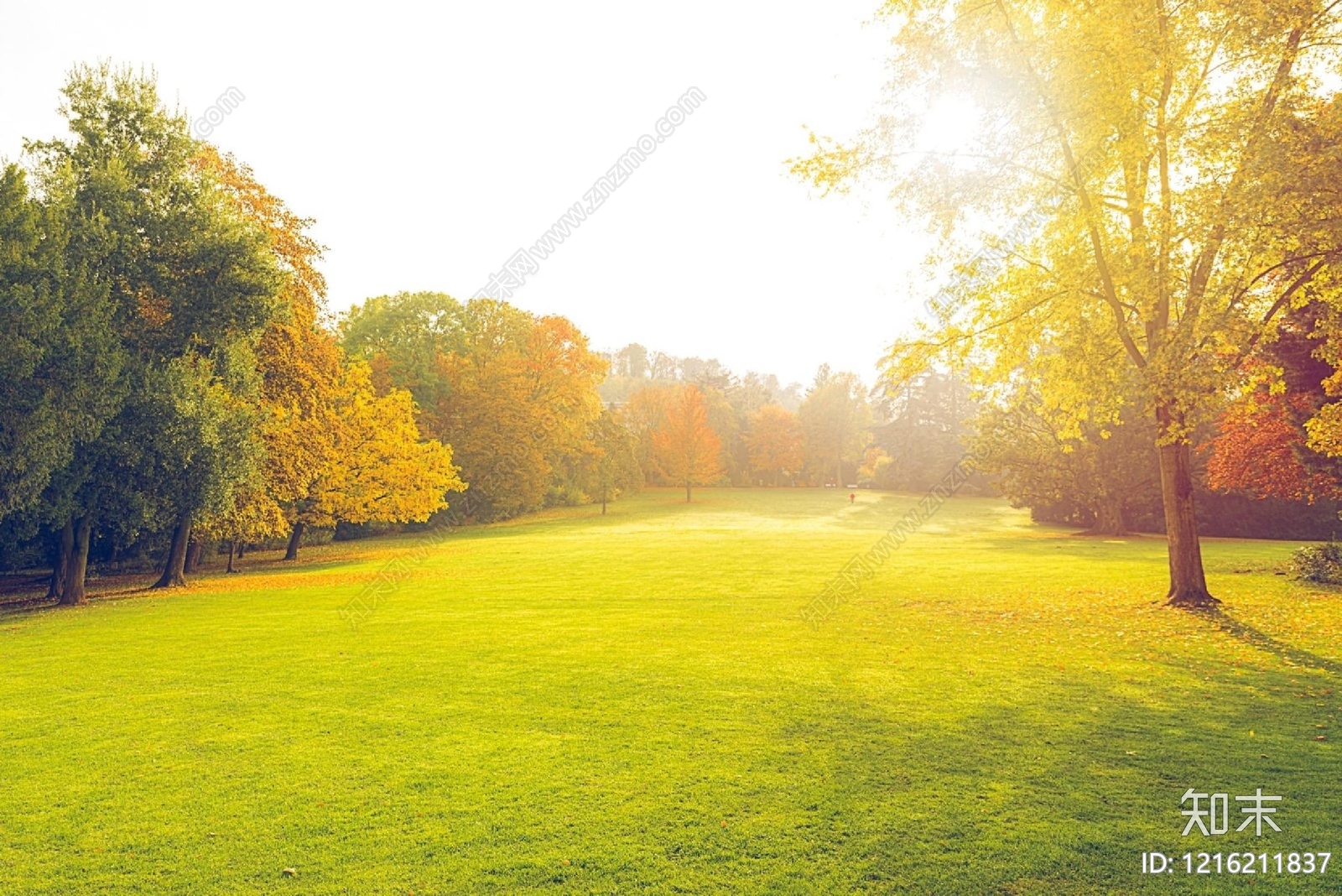 现代草地贴图下载【ID:1216211837】