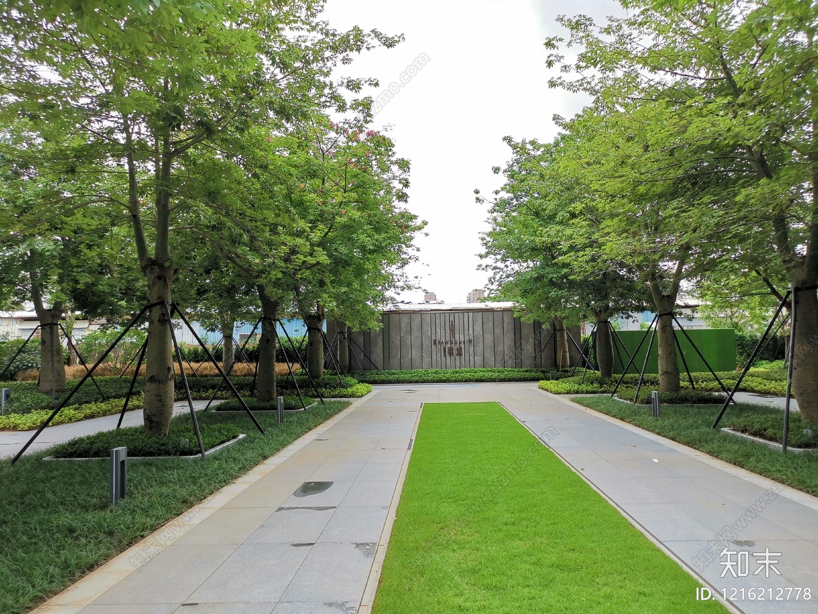 现代树木贴图下载【ID:1216212778】