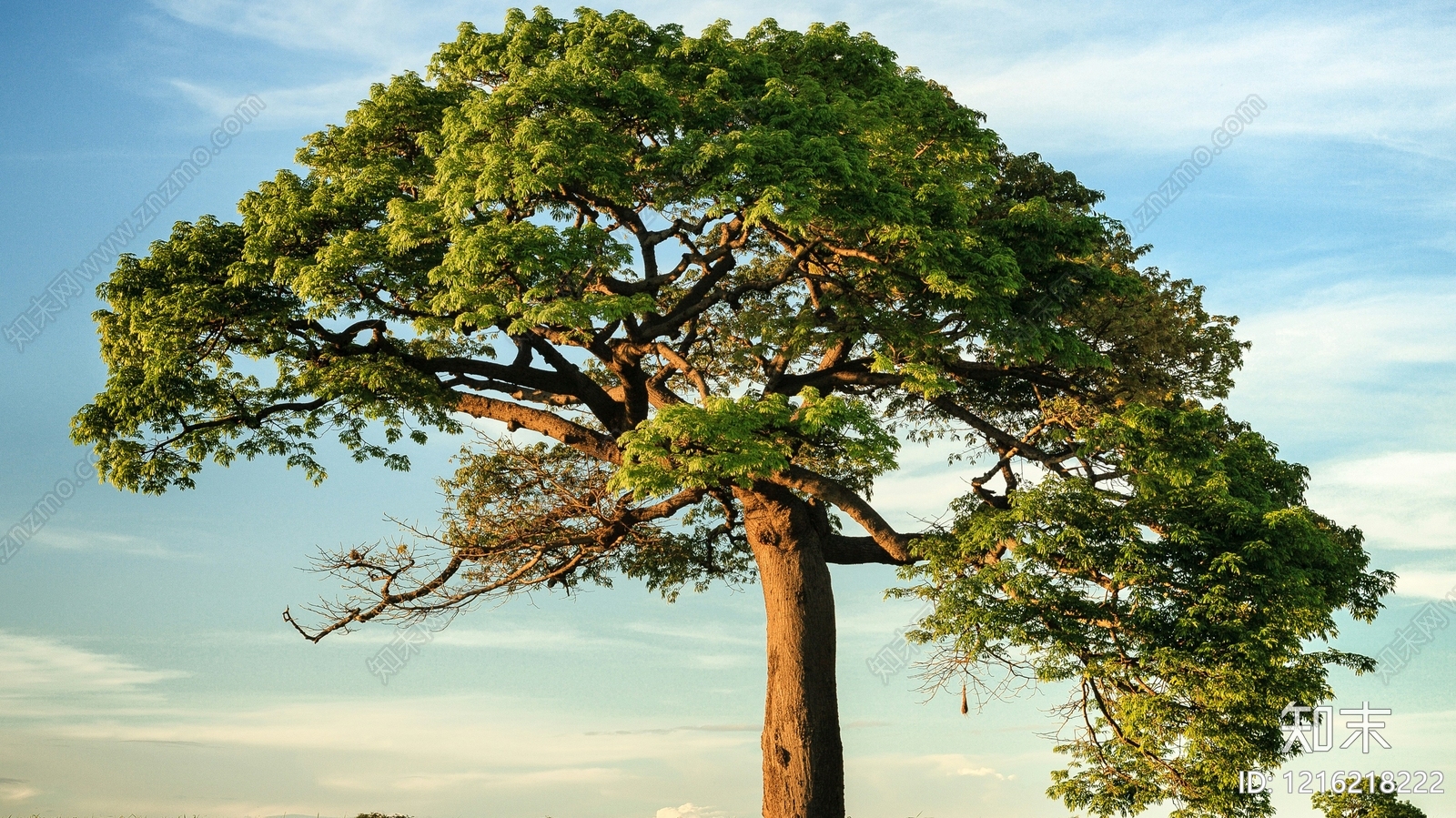 现代其他屏幕贴图下载【ID:1216218222】