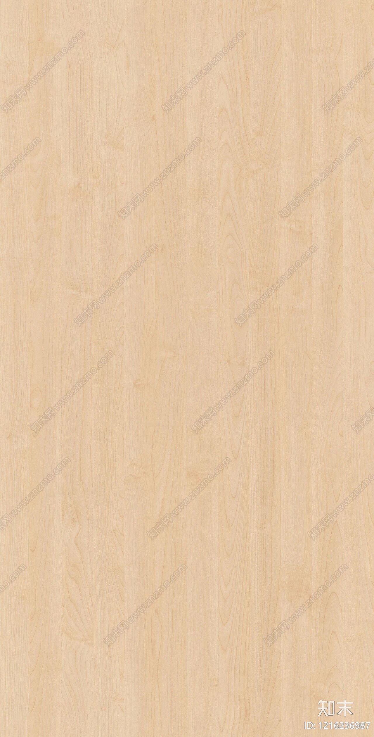 浅色木纹贴图下载【ID:1216236987】