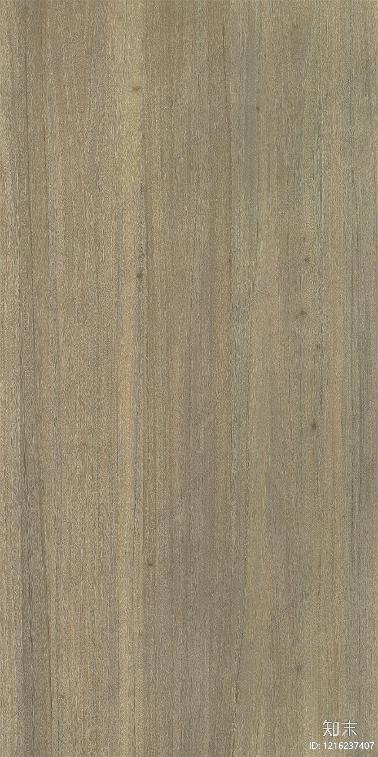 现代浅色木纹贴图下载【ID:1216237407】